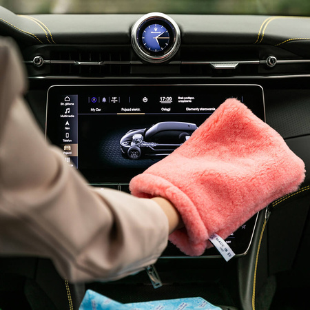 Zestaw do czyszczenia samochodu Raypath - Car Detailing Set