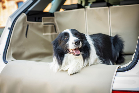 Mata do bagażnika Subaru Outback 2014-2019 Premium Zefir winyl beżowy