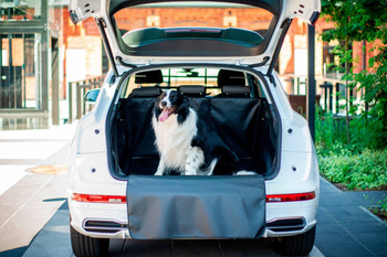 Mata do bagażnika Porsche Cayenne Coupe Hybryda 2019- standard PCV
