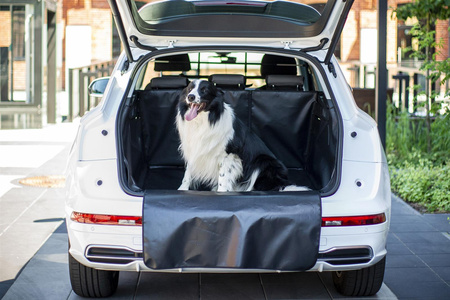 Mata do bagażnika Land Rover Discovery Sport od 2014 standard PCV