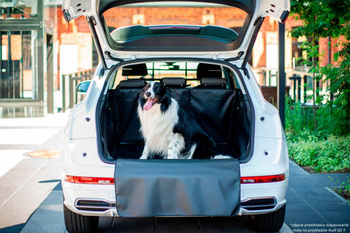 Mata do bagażnika Audi Q3 2018- SUV F3 standard PCV